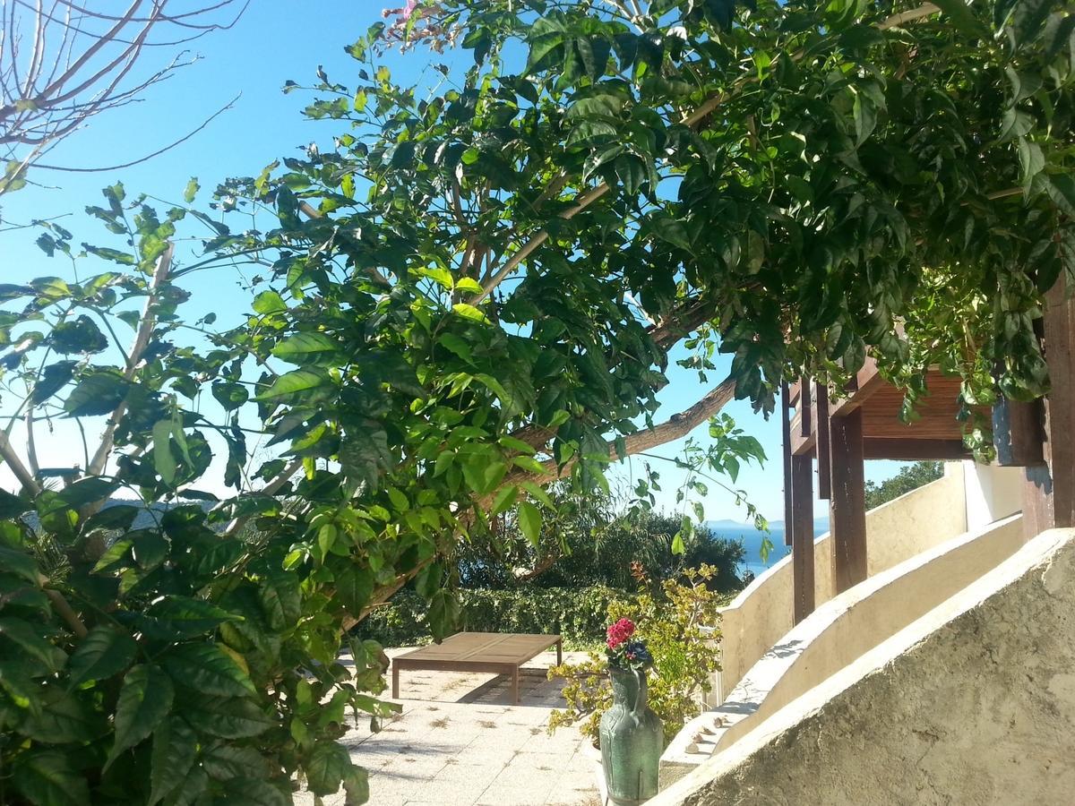 Aparthotel La Coccinelle Île du Levant Exterior foto